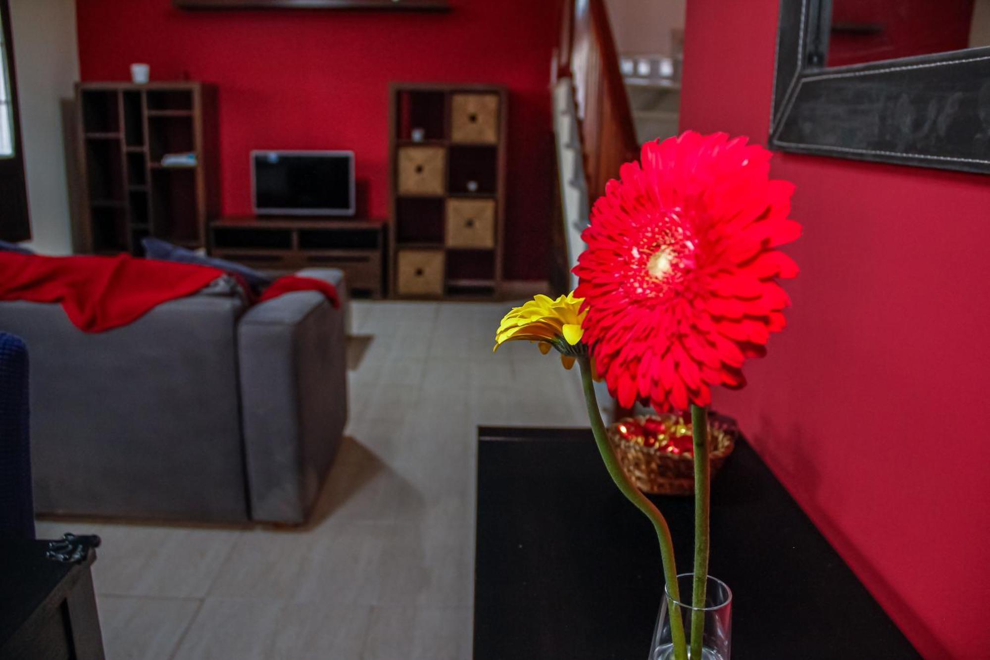 Malvasia House كوستا تاغيسي المظهر الخارجي الصورة